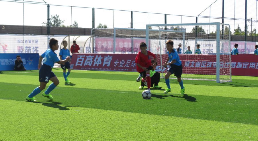 河北省第三届“冀萌杯”青少年足球赛开赛