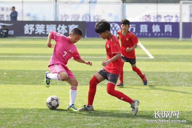河北省第三届“冀萌杯”青少年足球比赛落幕