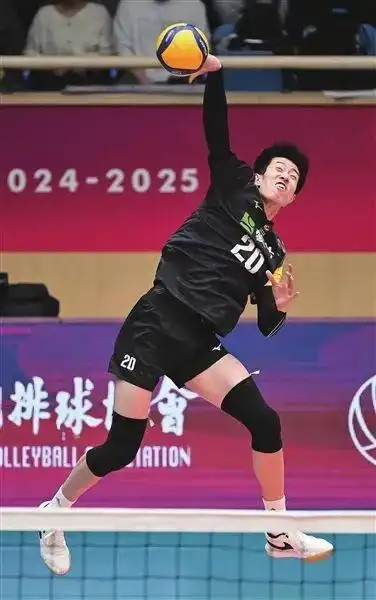 “黑马”河北保定沃隶男排缘何大踏步前进