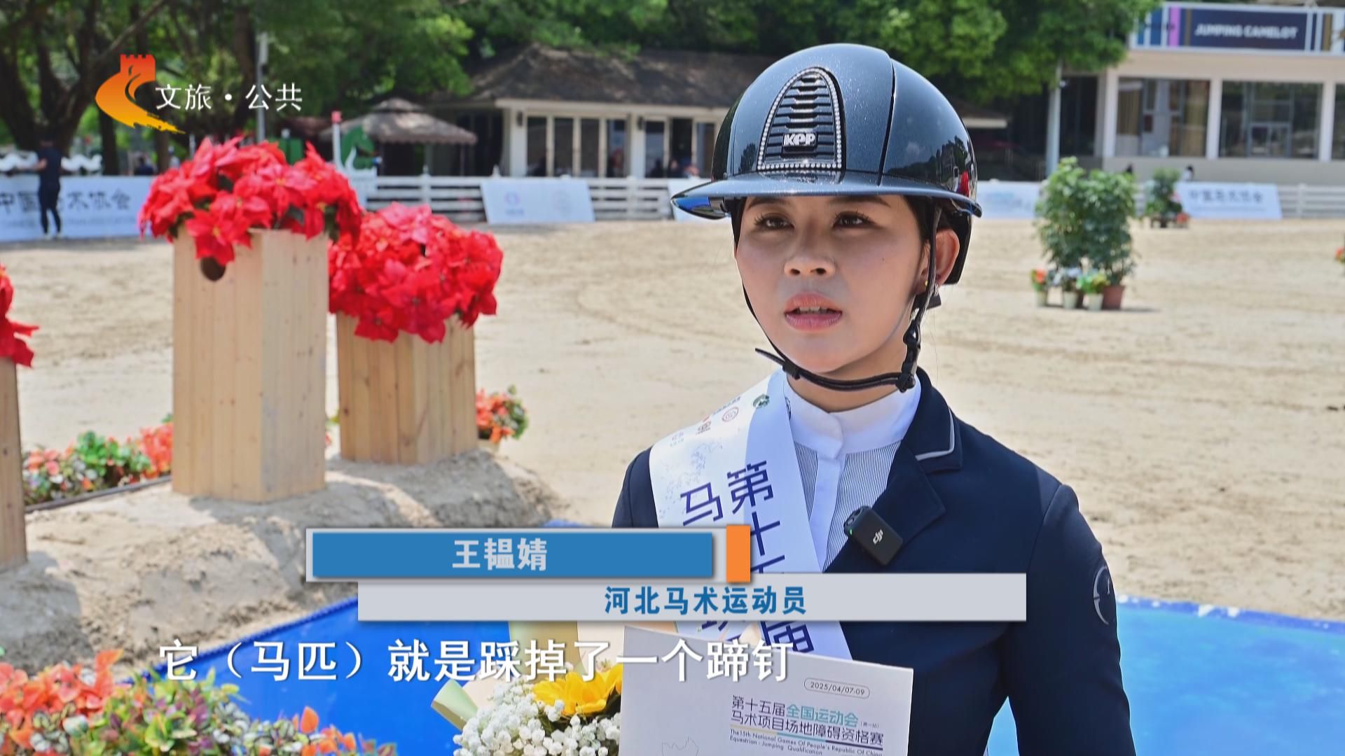 体育全冀录｜河北马术在全运会马术场地障碍资格赛实现历史性突破