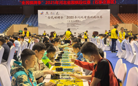 2025年河北省围棋段位赛在河北体育馆举办