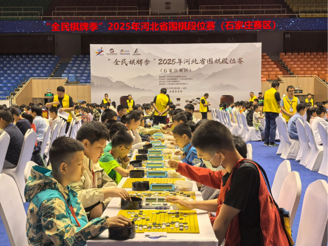 2025年河北省围棋段位赛在河北体育馆举办