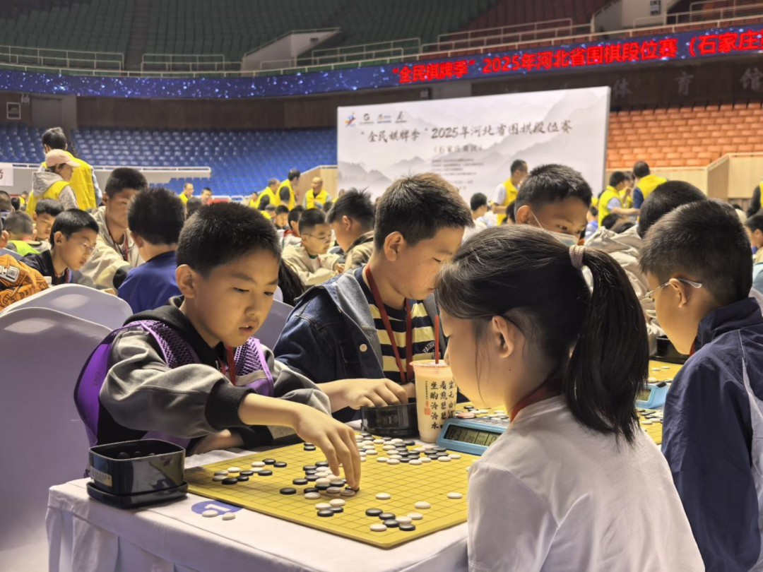 2025年河北省围棋段位赛在河北体育馆举办