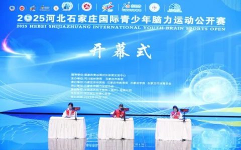 “最强大脑”上演巅峰对决 2025河北石家庄国际青少年脑力运动公开赛开赛