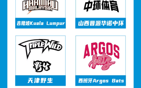 第三届石家庄HBC（Hot Basketball City）三人制篮球邀请赛公开组赛事球队阵容官宣