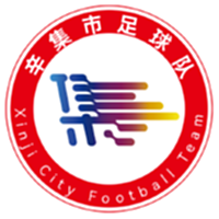 辛集队