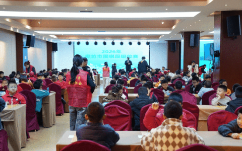 廊坊市2026年围棋段级位赛开赛 近800名青少年“棋”聚一堂展开智慧交锋
